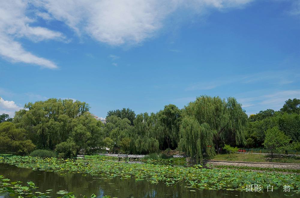 我看见的风景 摄影 白翁liz