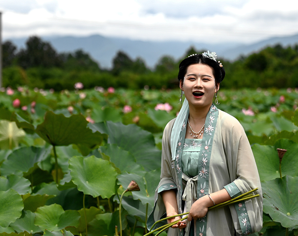 荷塘美女 摄影 春江翁