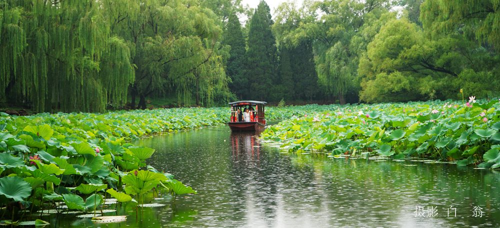 我看见的风景 摄影 白翁liz