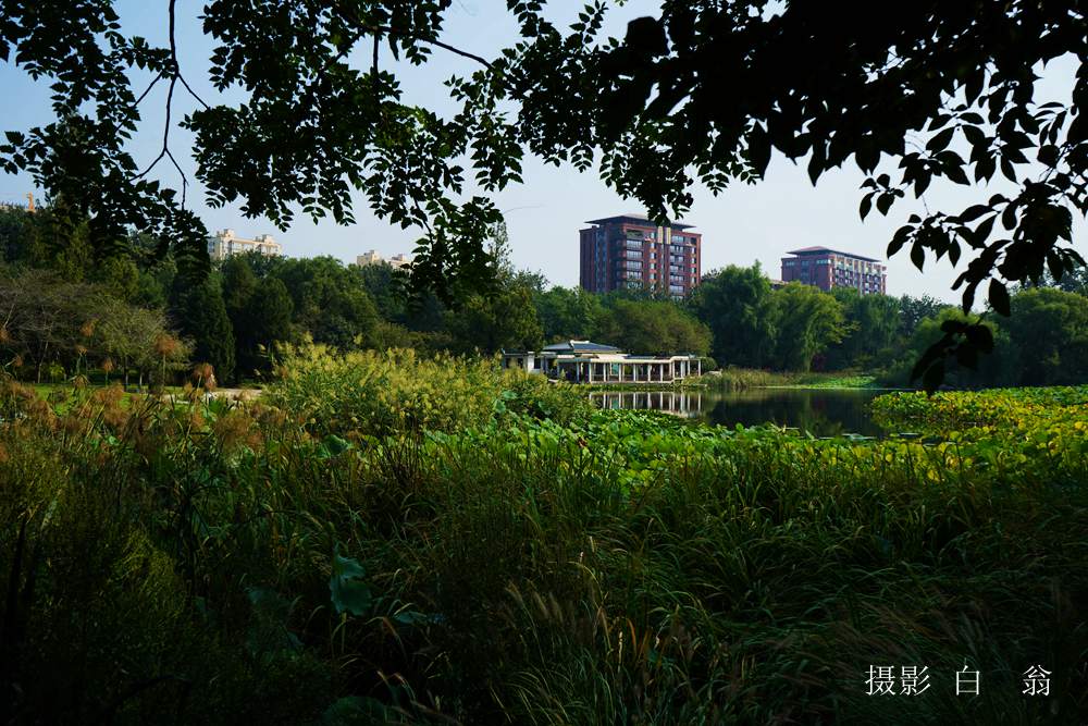 我看见的风景 摄影 白翁liz