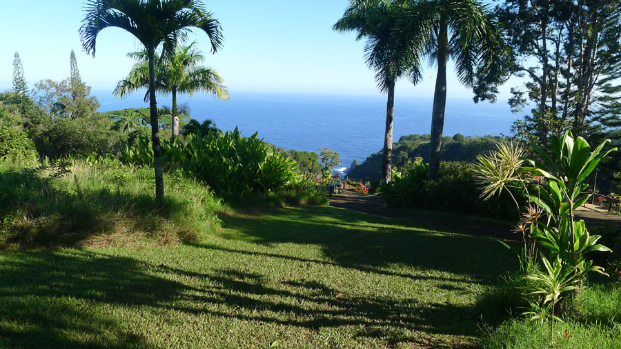 纵情夏威夷 摄影 飘逸越洋