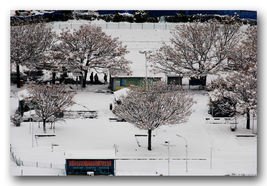 郑州初雪 摄影 xhsydlr