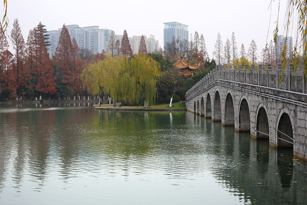 逍遥湖 摄影 毫克