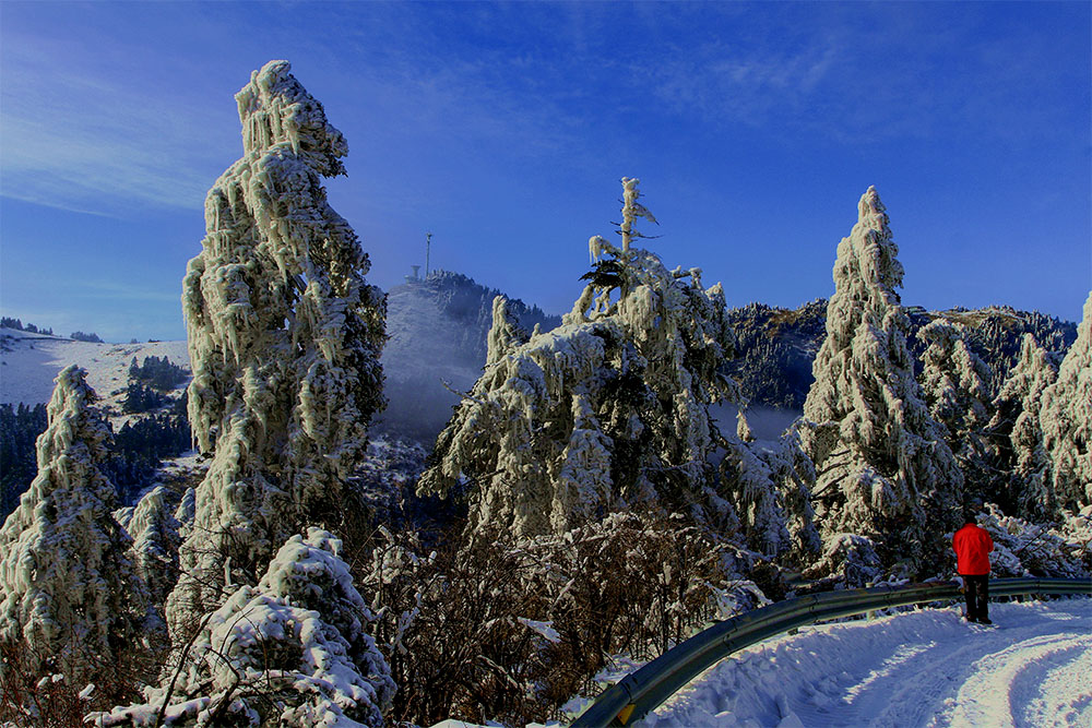 神农顶雪后初晴 摄影 于搏