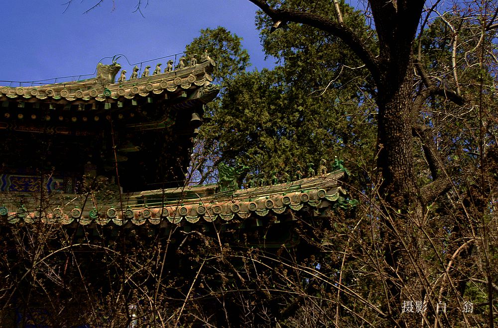 我看见的风景 摄影 白翁liz