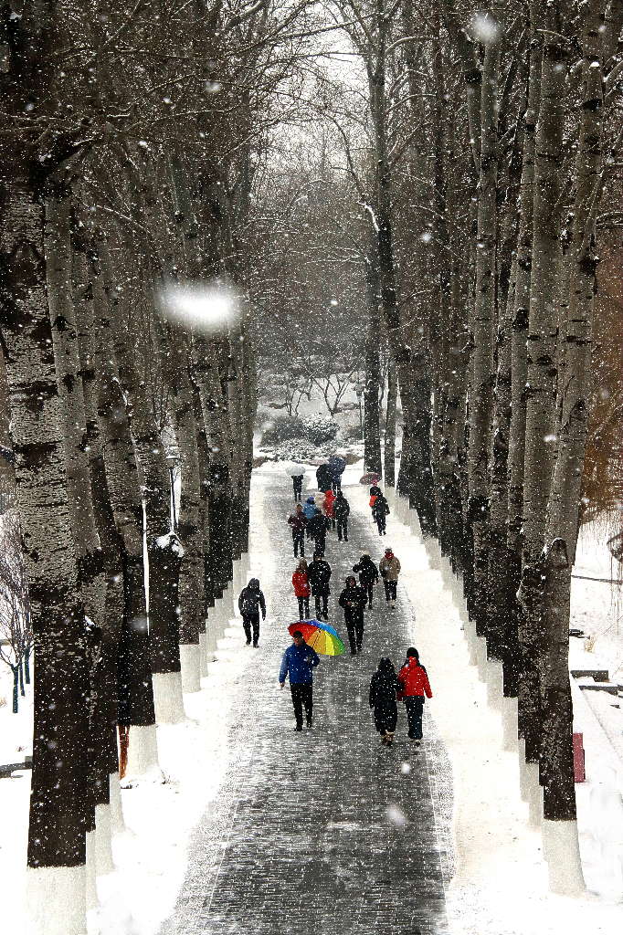 2023年冬北京雪 摄影 三人