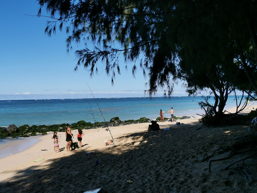 纵情夏威夷 摄影 飘逸越洋