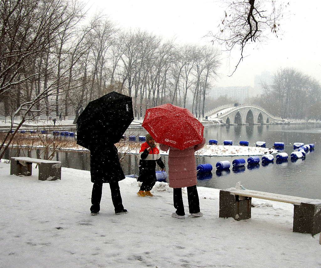 雪中玉渊潭 摄影 三人