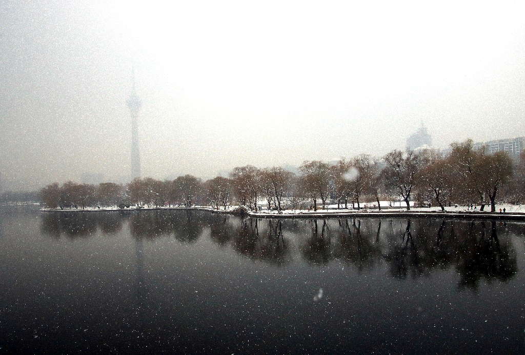 雪中北京玉渊潭 摄影 三人