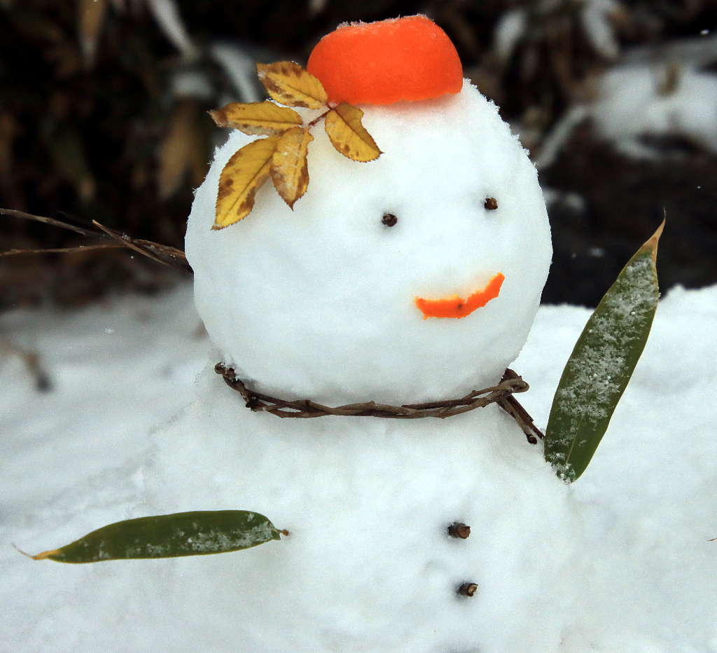 雪中北京玉渊潭 摄影 三人