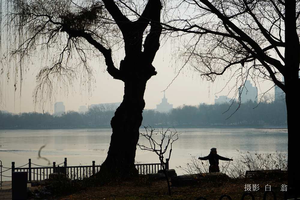 我看见的风景 摄影 白翁liz