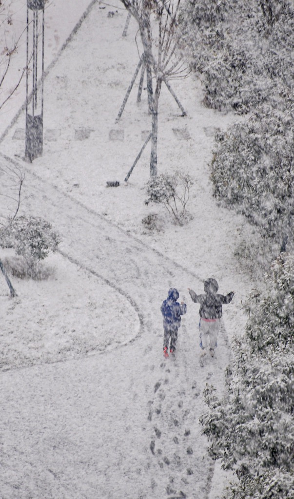 西安2024.1.16午时大雪 摄影 大山51