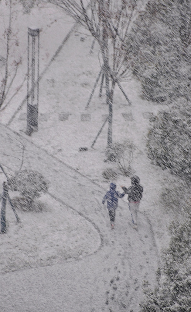 西安下雪啦！ 摄影 大山51