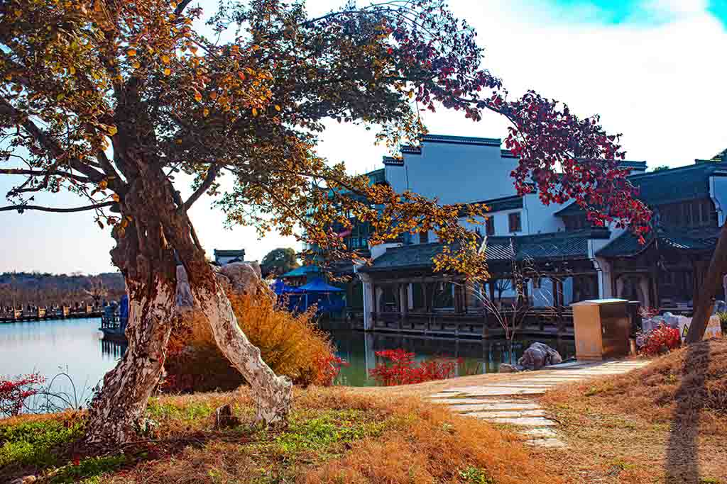 零散集 摄影 lingsu