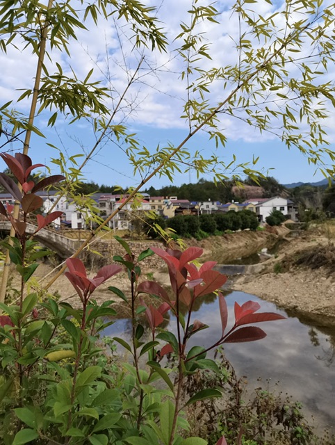 新村小景 摄影 红山竹