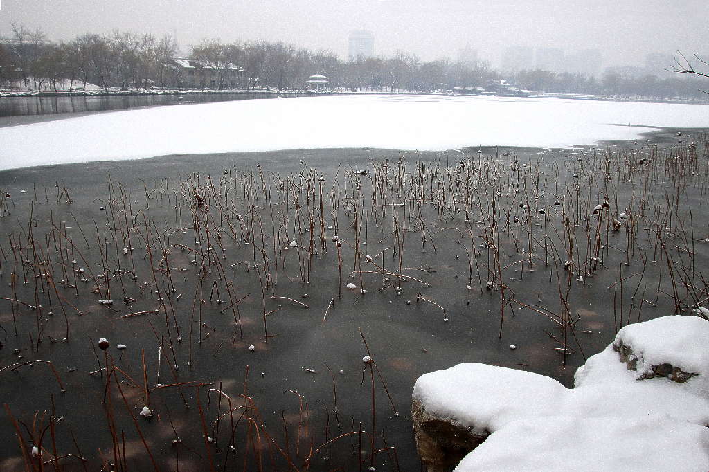 雪后北京玉渊潭 摄影 三人