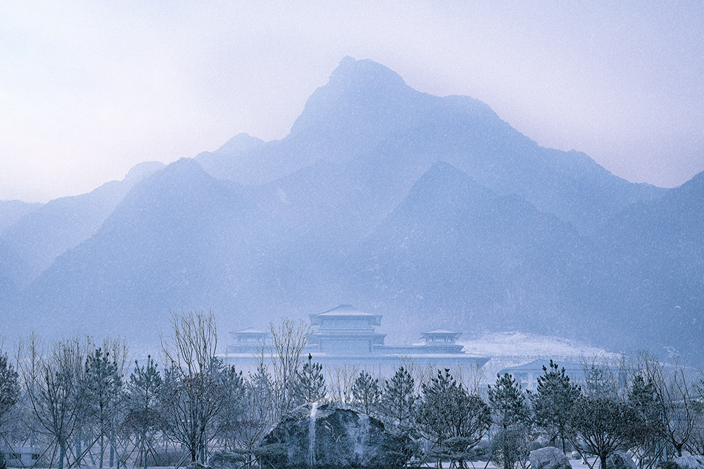 雪落南山 摄影 耍不够