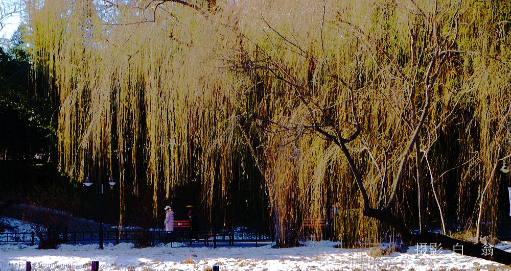 我看见的风景 摄影 白翁liz