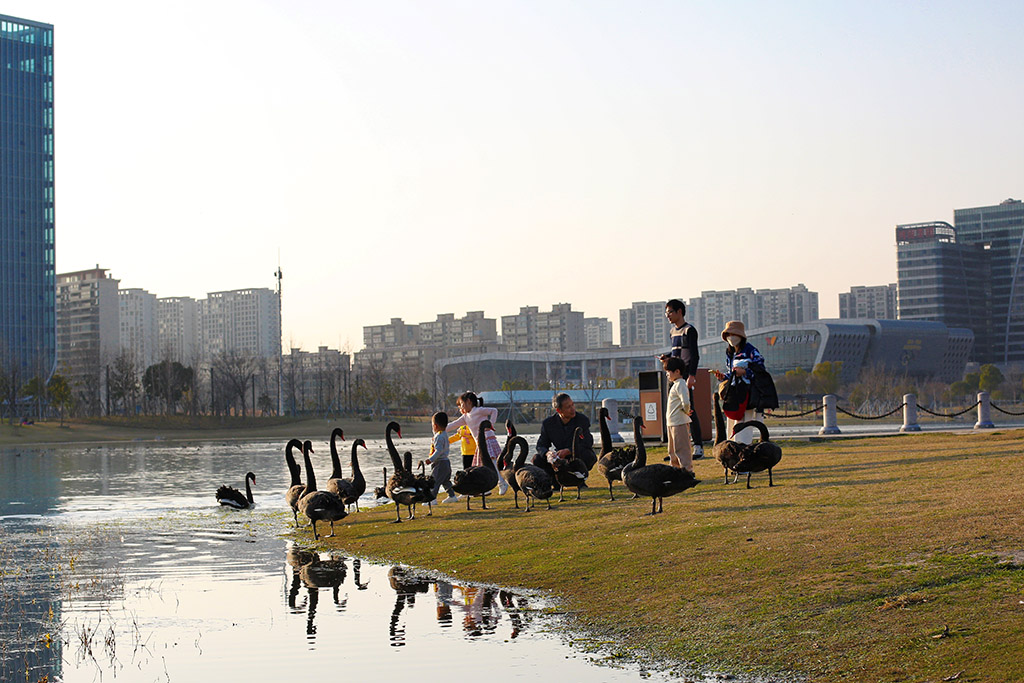 嘉兴.秀湖公园 摄影 毫克