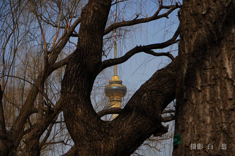 我看见的风景 摄影 白翁liz