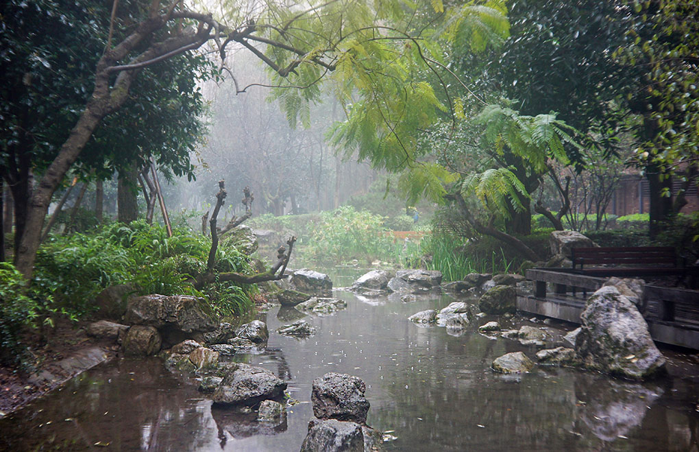 三月里的小雨 摄影 留恋