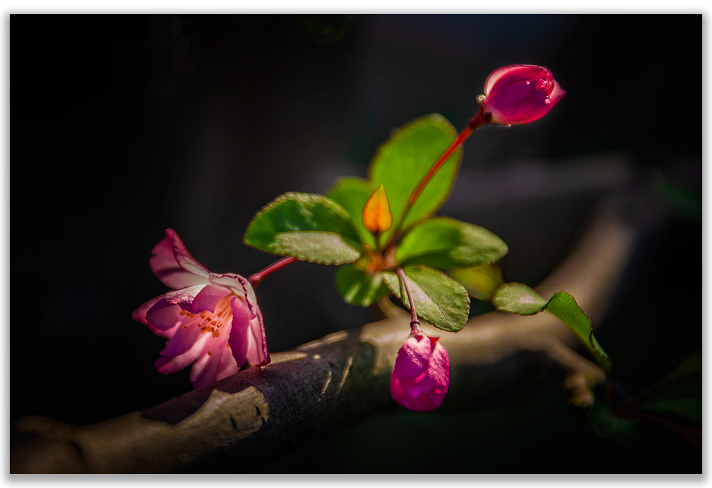 三忆江南 摄影 与世无争