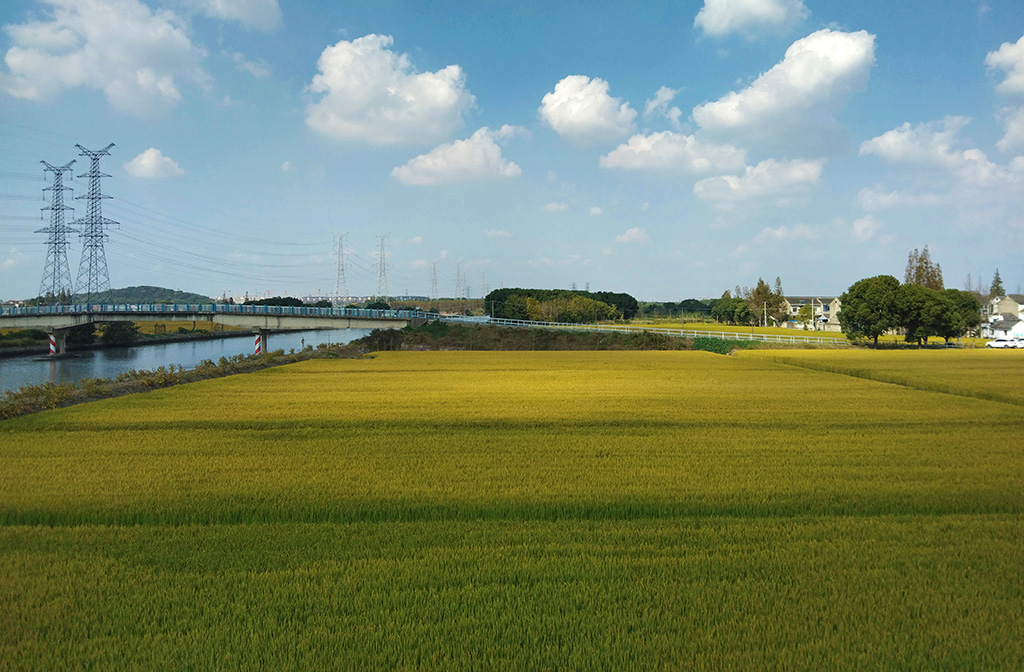 田野 摄影 毫克