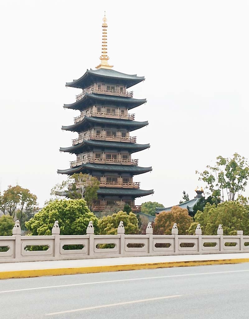 静安寺 摄影 风中的梅