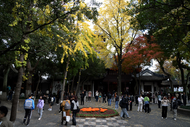 枫桥 寒山寺—21 摄影 独上江楼望月