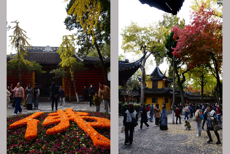 枫桥 寒山寺—24 摄影 独上江楼望月