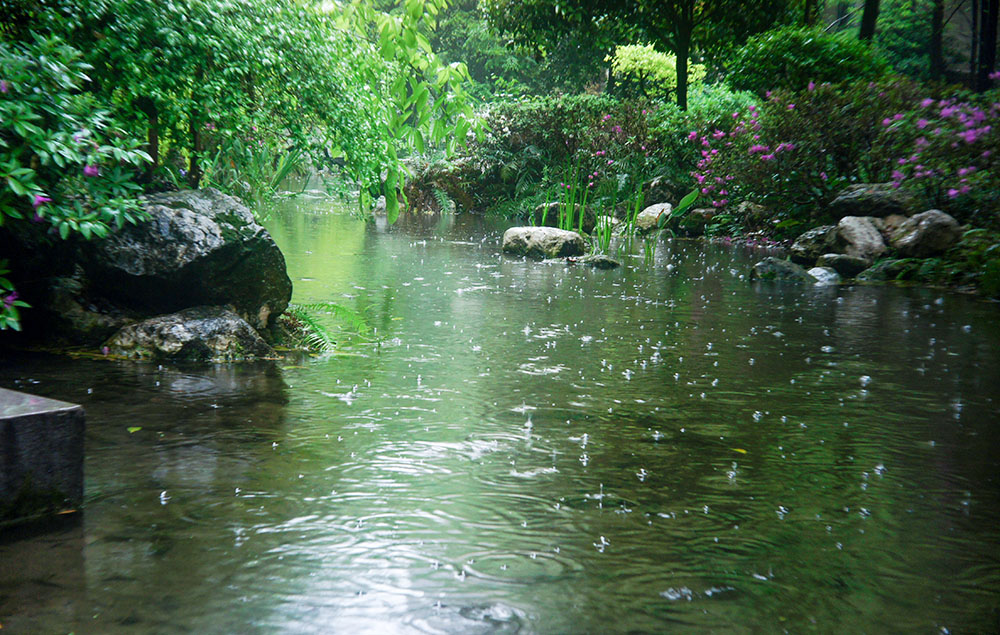 小雨 摄影 留恋