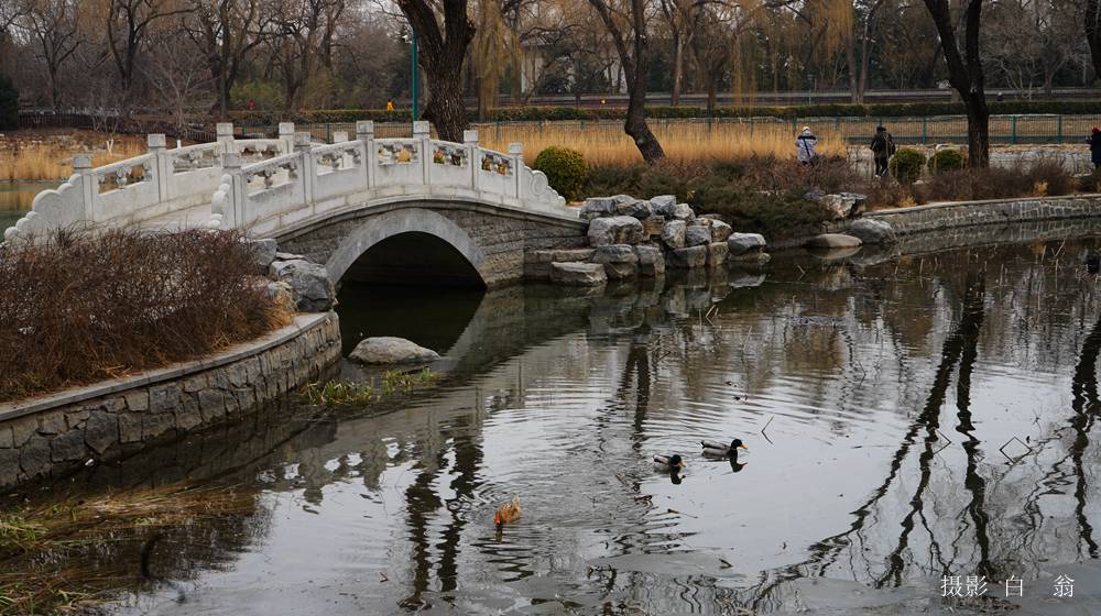 我看见的风景 摄影 白翁liz