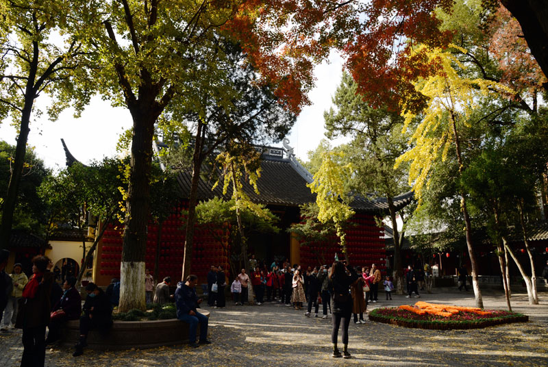 枫桥 寒山寺—27 摄影 独上江楼望月