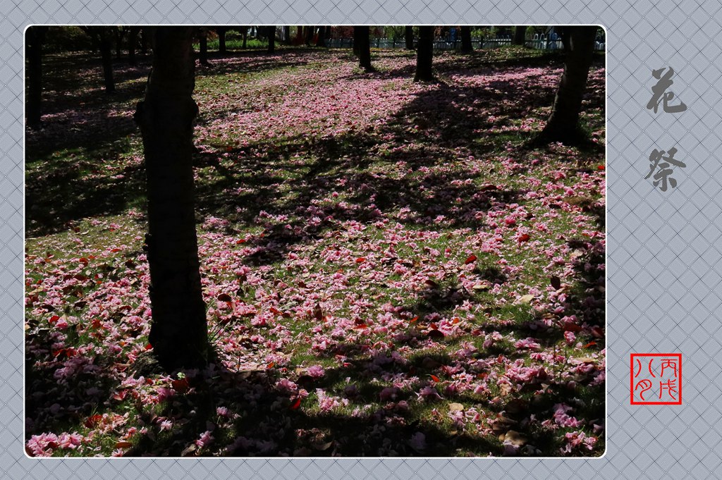 花祭 摄影 丙戌八月