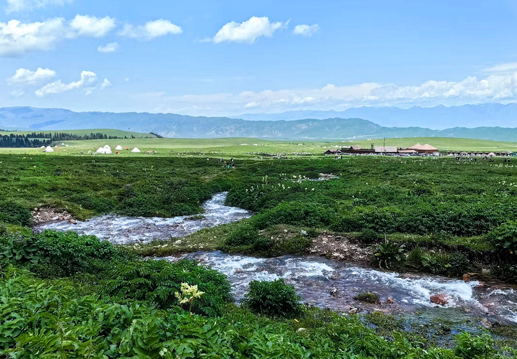 新疆风情录 104 摄影 西河清风
