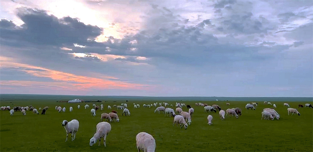 田园风光——牧羊图 摄影 飞鹰998
