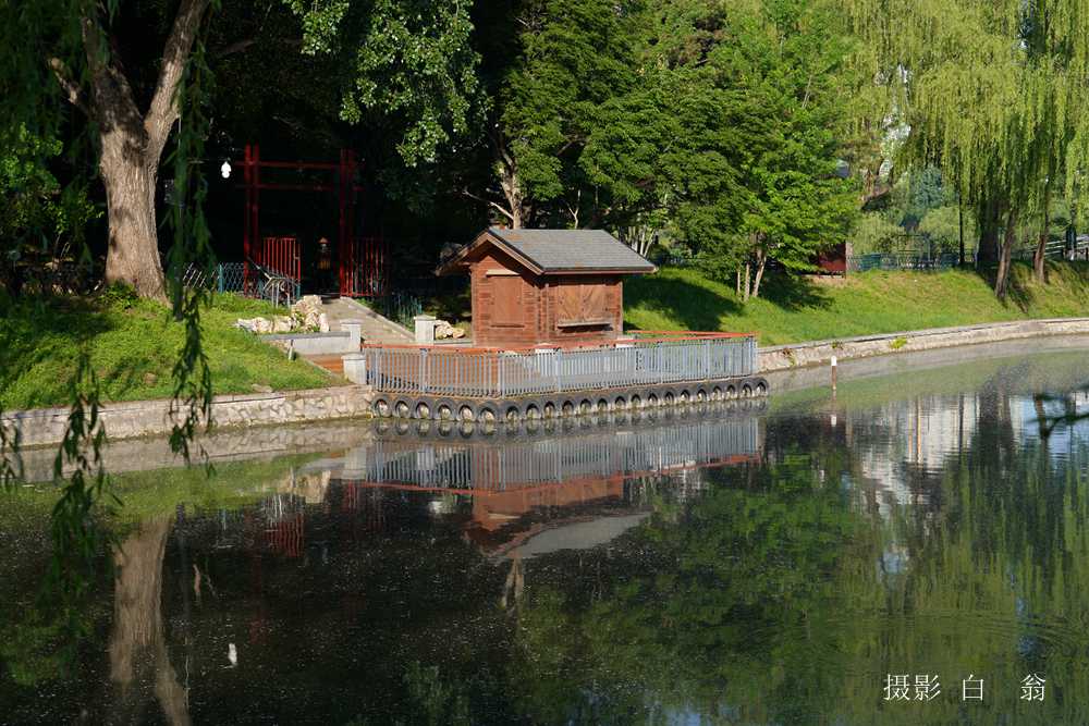 我看见的风景 摄影 白翁liz