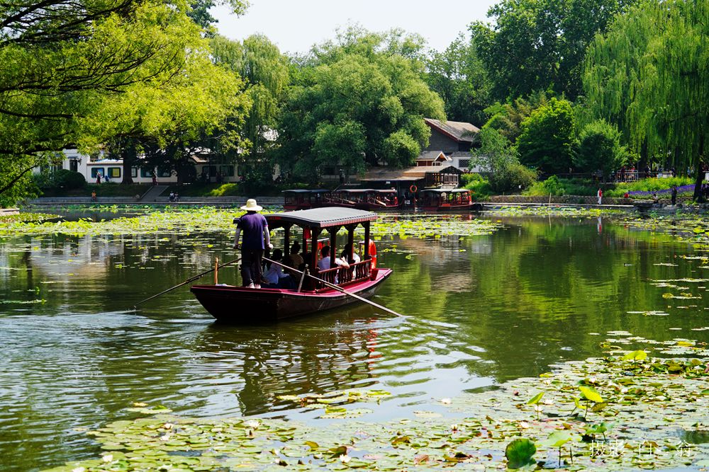 我看见的风景 摄影 白翁liz