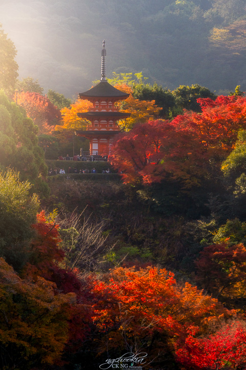 清水寺 II 京都 - 日本 摄影 chookia