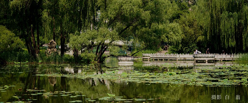 我看见的风景 摄影 白翁liz