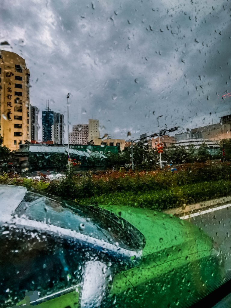 青岛夏日的雨中随拍 摄影 qdzp