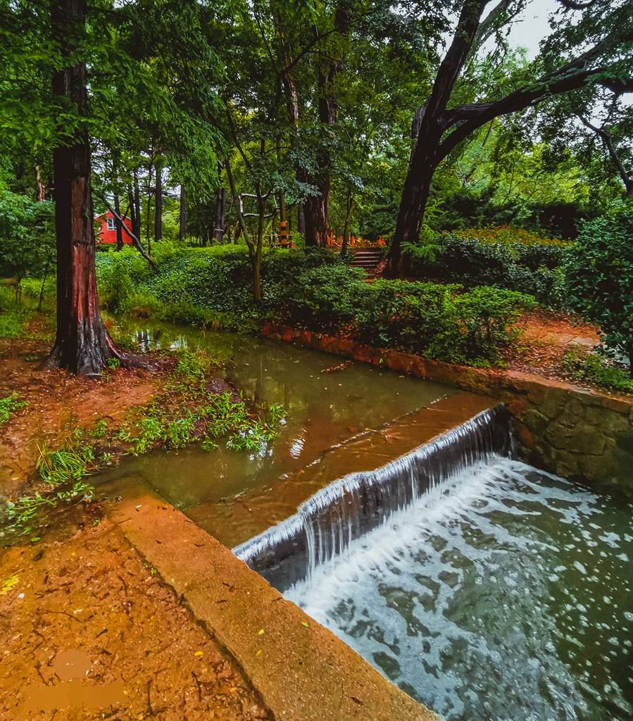 青岛雨中的随拍 摄影 qdzp