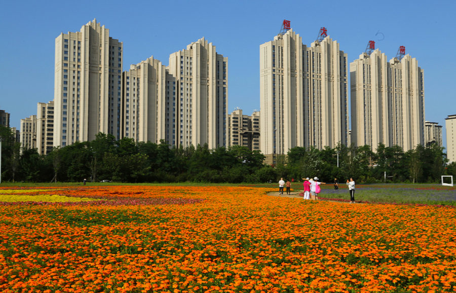 花海 摄影 付炳权