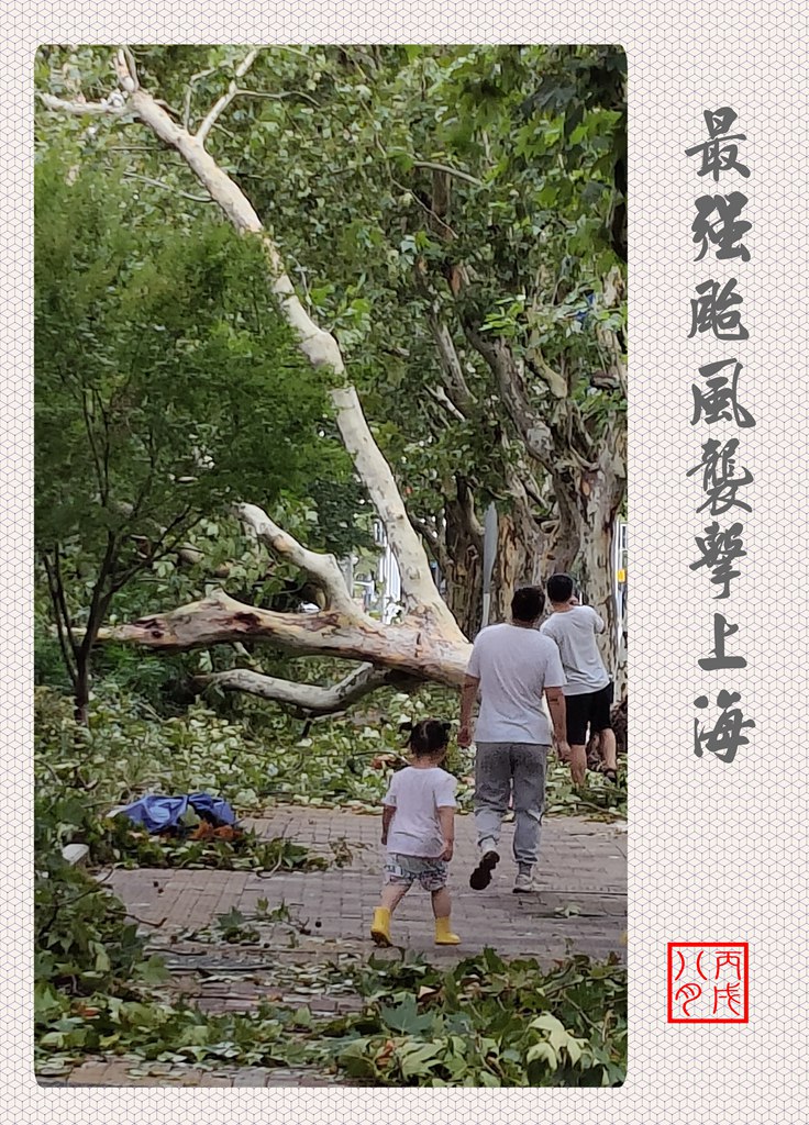 最強台風襲擊上海① 摄影 丙戌八月