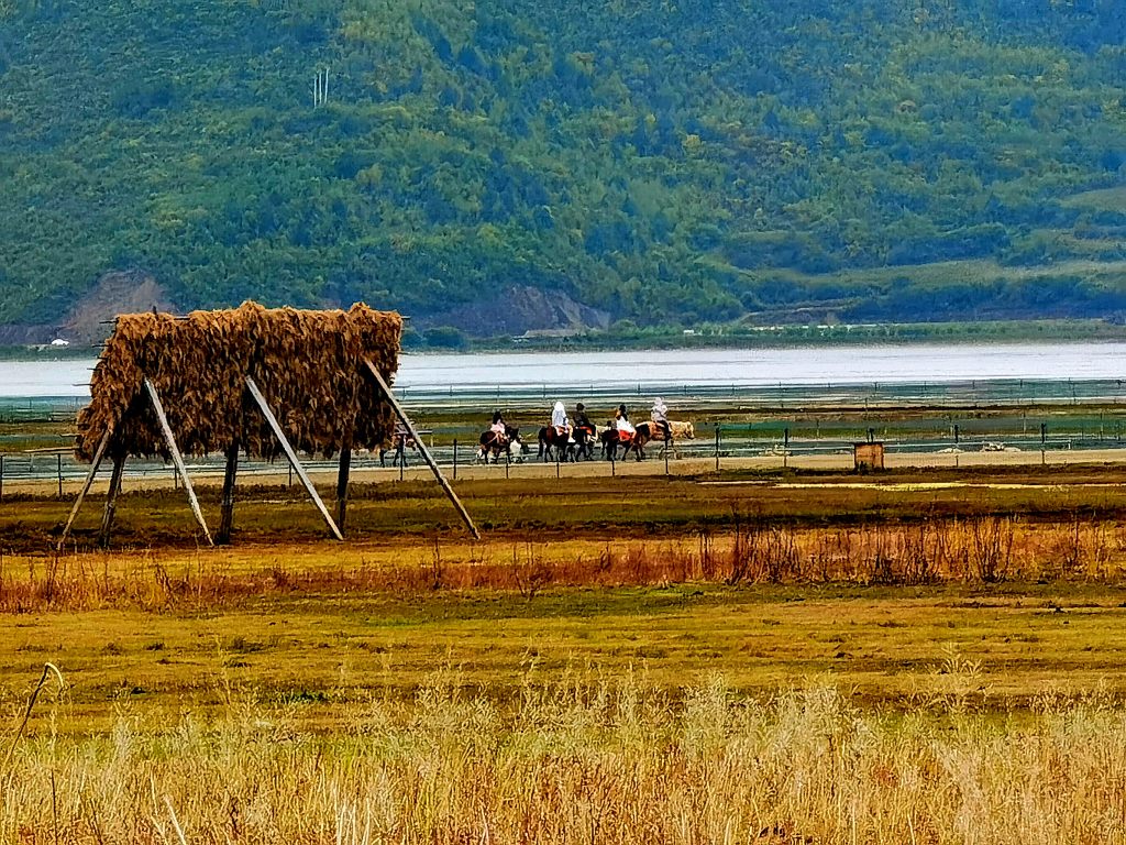 骑行碧塔海 摄影 丽强