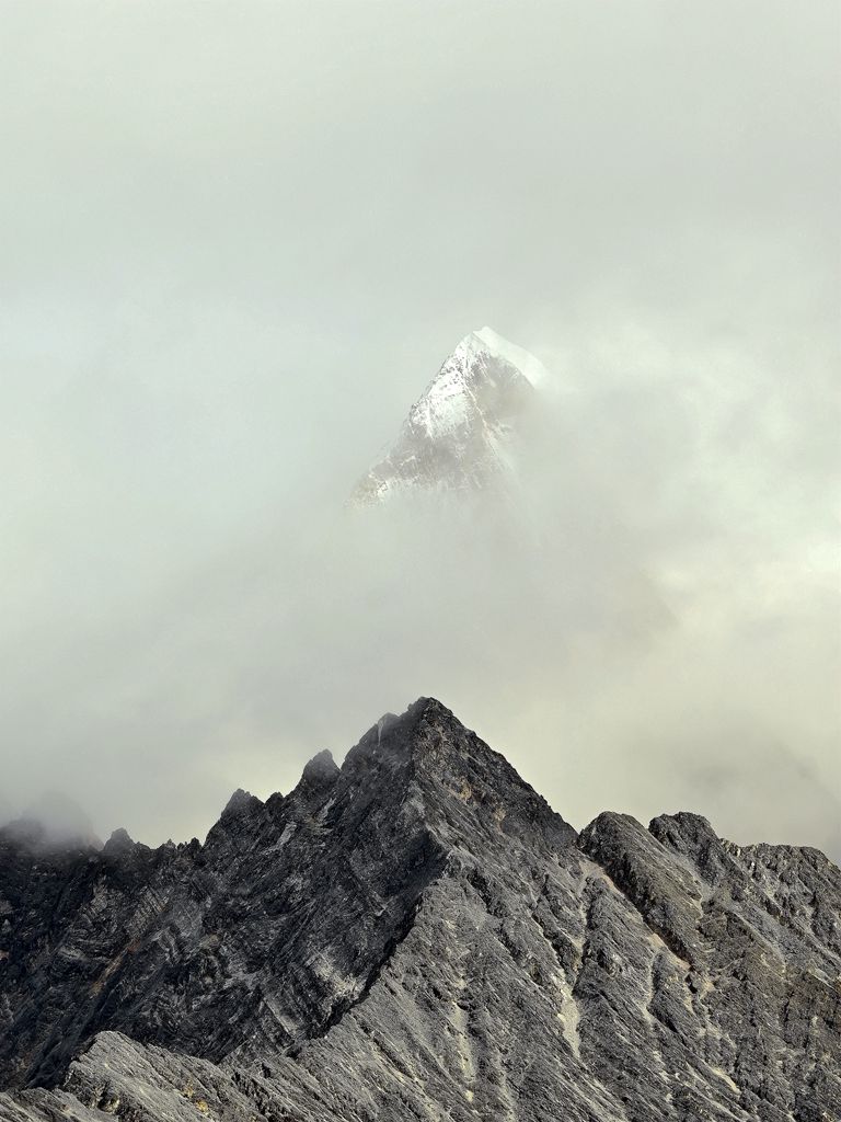 偶露峥嵘 摄影 景仲平