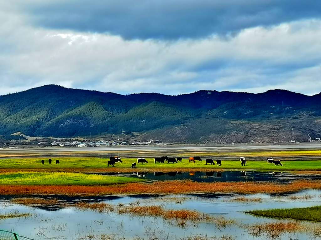 碧塔海美景 摄影 丽强