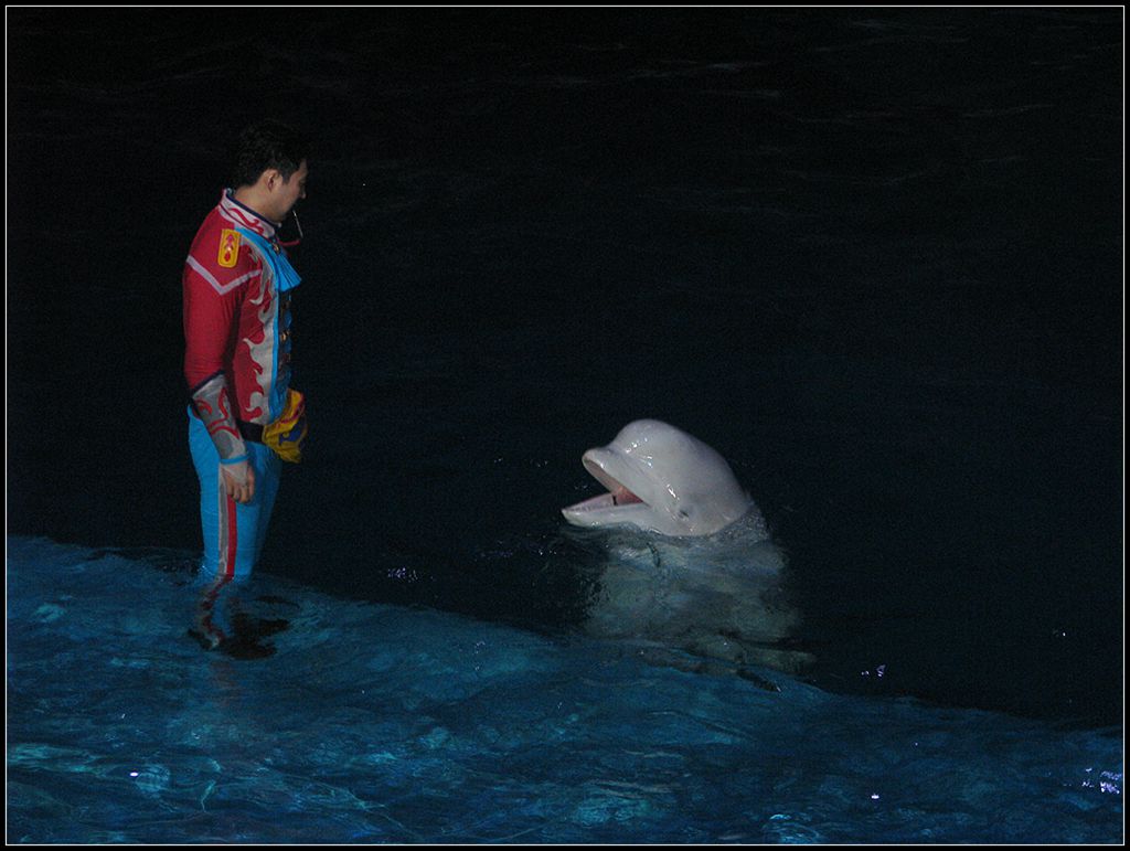 水族馆里 1 摄影 走马观花