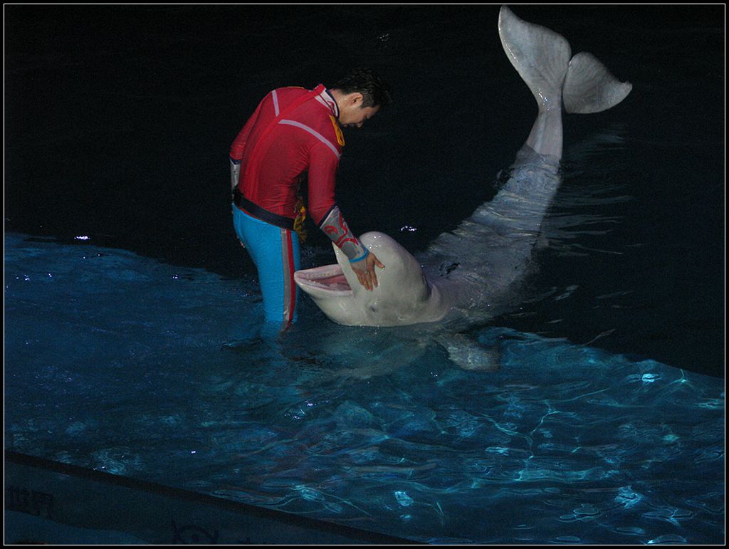 水族馆里 2 摄影 走马观花