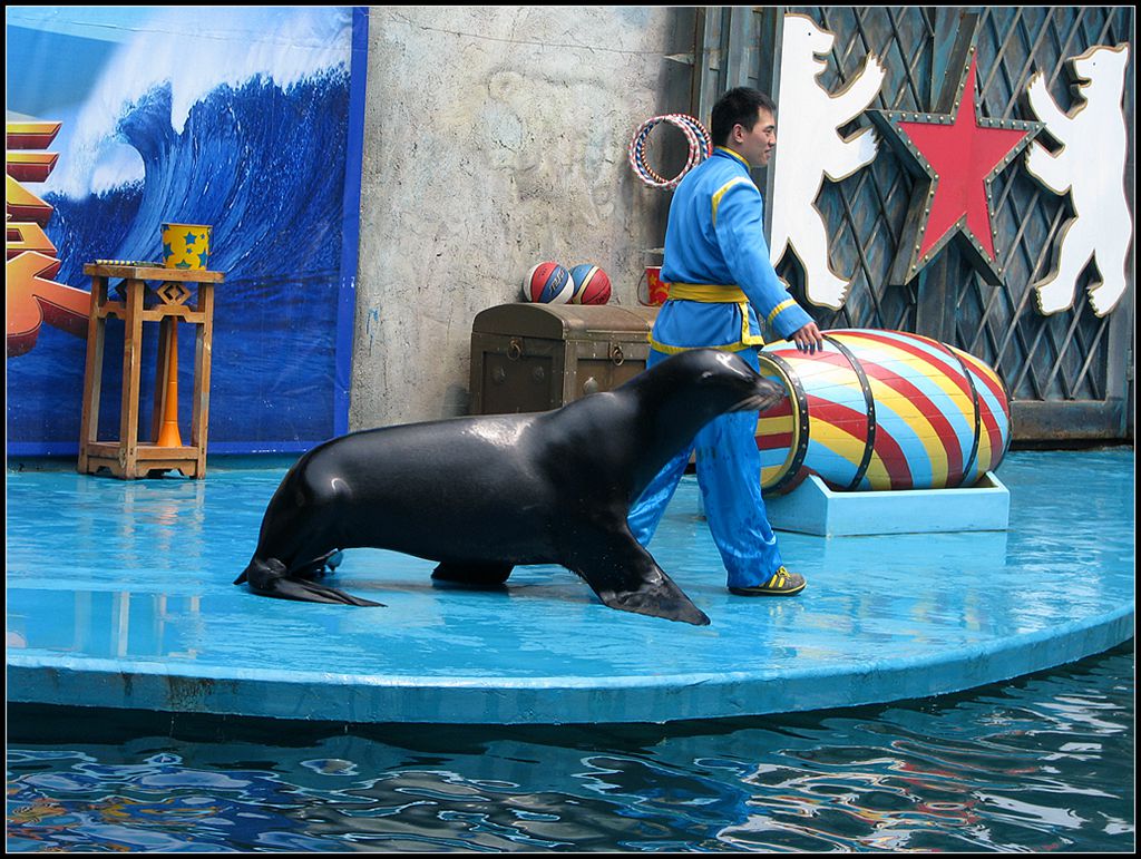 水族馆里 7 摄影 走马观花